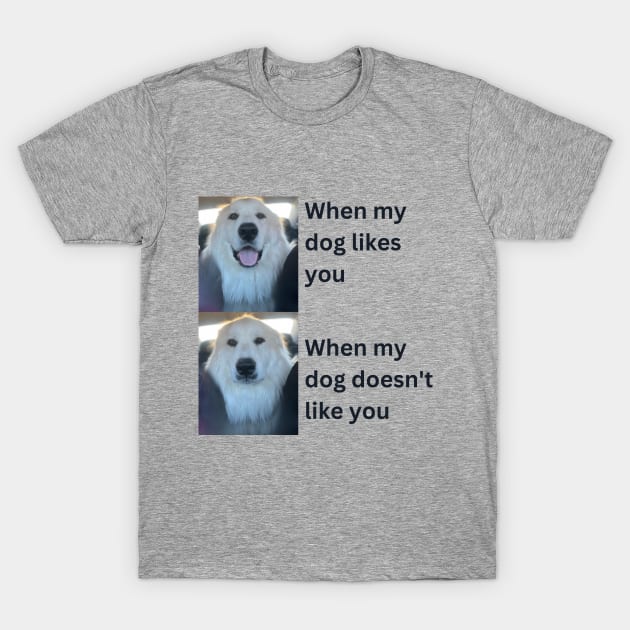 When my dog likes you vs when my dog doesn't T-Shirt by rford191